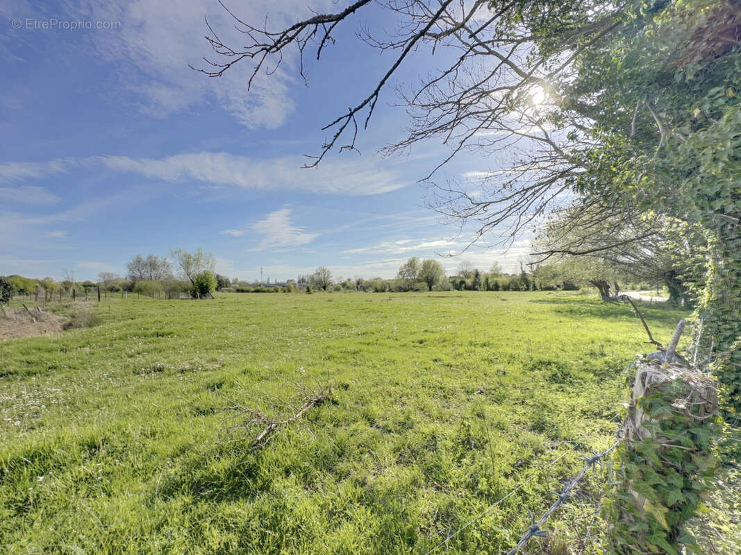 Terrain à SAINT-QUENTIN-EN-TOURMONT