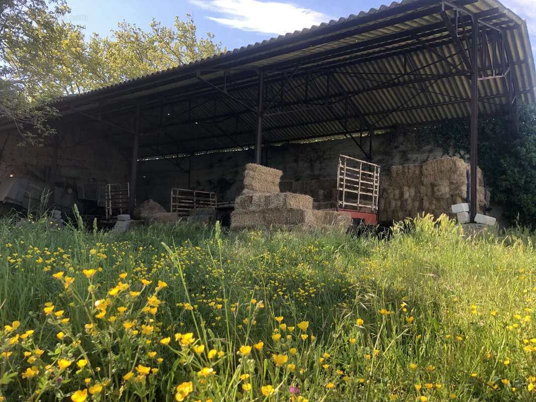 Maison à COURTHEZON