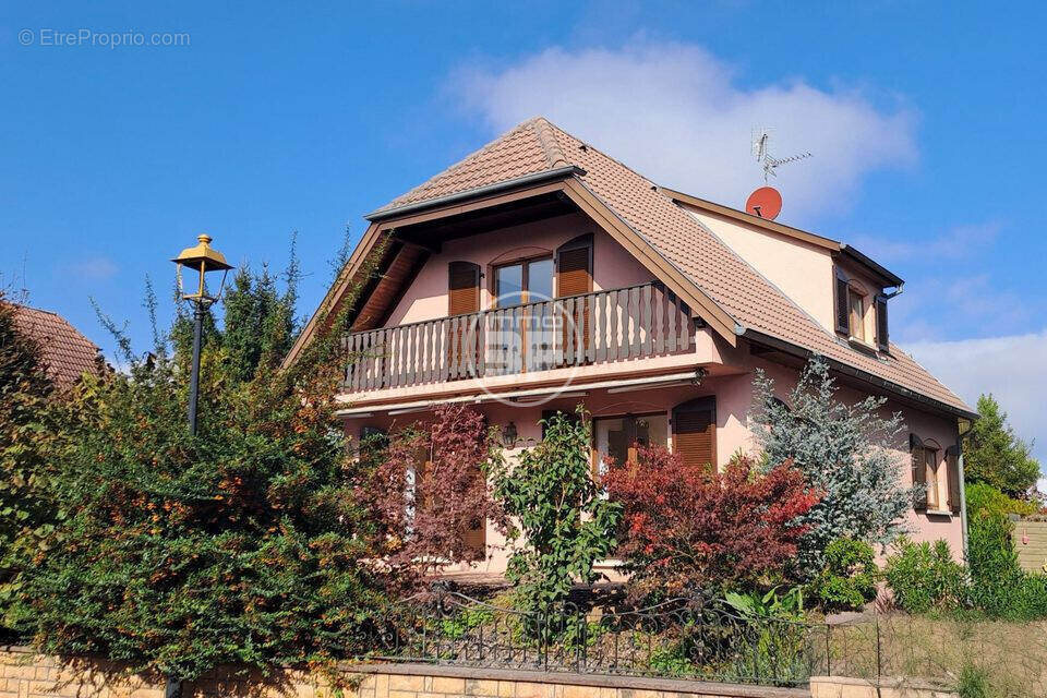Maison à BLOTZHEIM