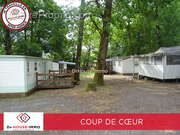 Terrain à SAINT-AUBIN-DE-BLAYE