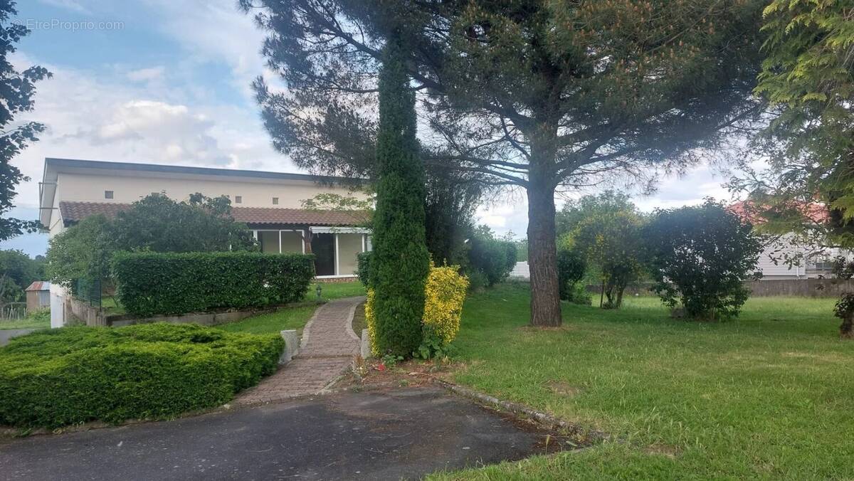 Maison à MAULEON