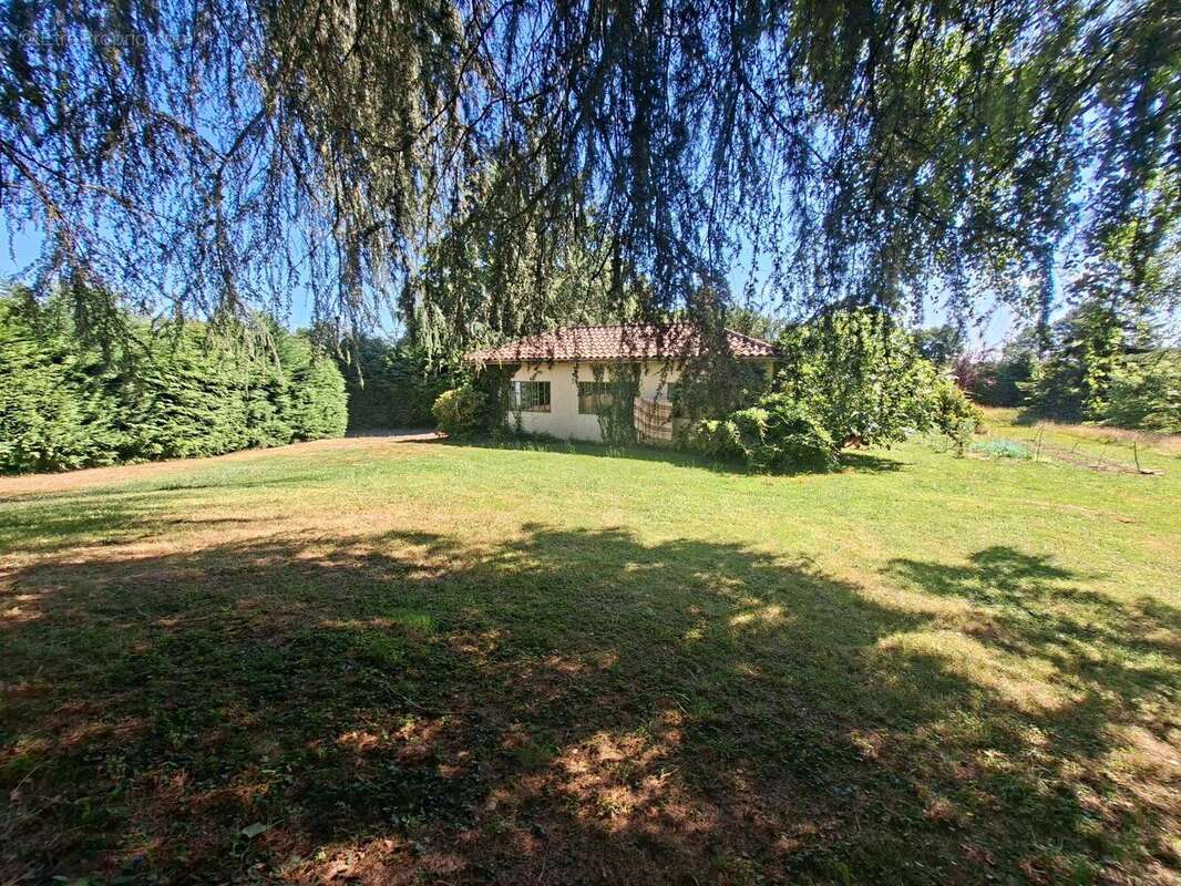 Maison 223 m² à Cantaous  - photo 2