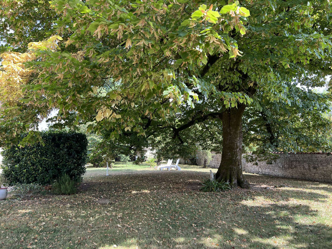 Maison à LA BROUSSE