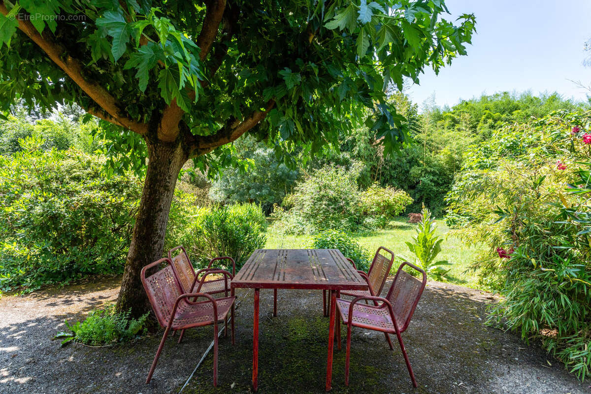 Propriété de campagne avec gîte et piscine - photo 31