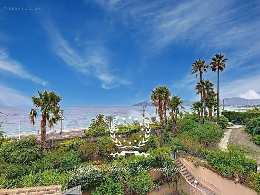 2p-cannes la bocca-terrasse vue mer-piscine-parking-cave - photo 9