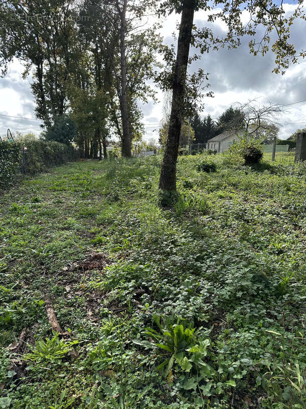Terrain à MONTGUYON