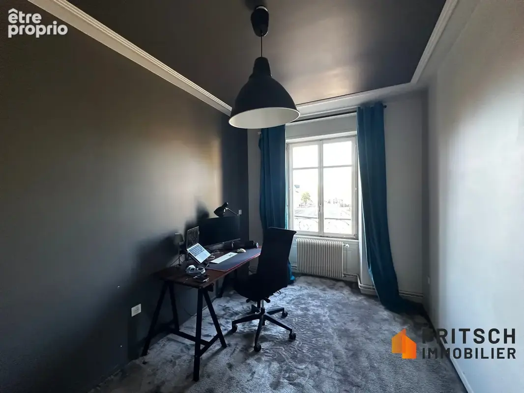 Maison 11 pièces 412 m² à vendre à Mulhouse (68200) - photo 9
