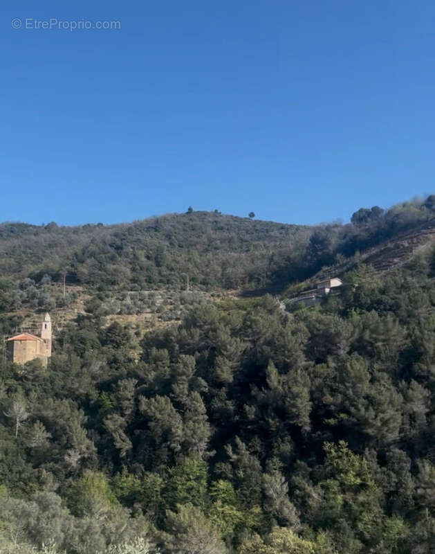 Havre de Paix-Propriété en Italie - A 15 minutes de Vintimille- Maison dans une Oliveraie de 8000m2-Potentiel - photo 22