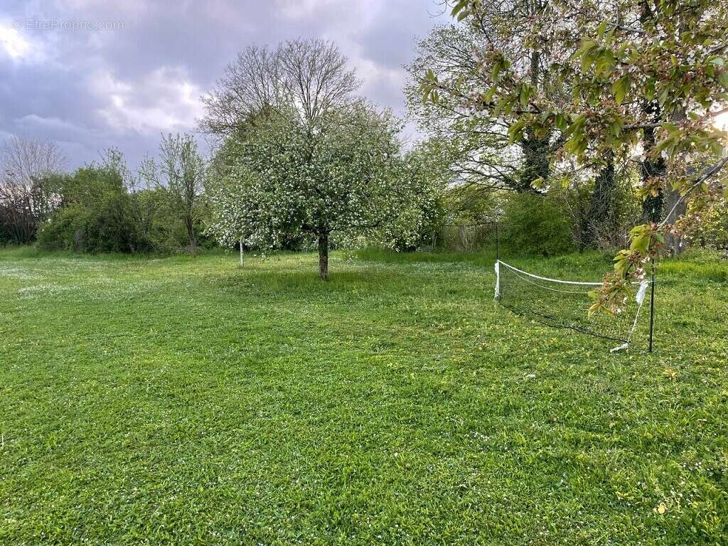 Terrain à ISLES-SUR-SUIPPE