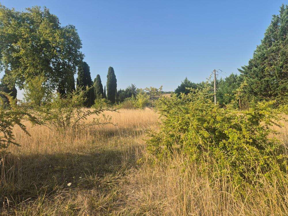 Terrain à RABASTENS