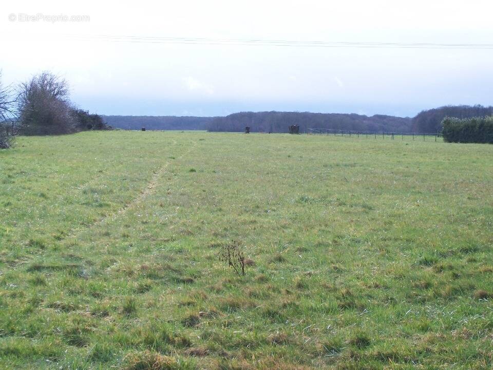 Terrain à HENONVILLE