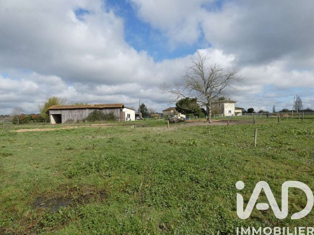 Photo 8 - Maison à LANGON