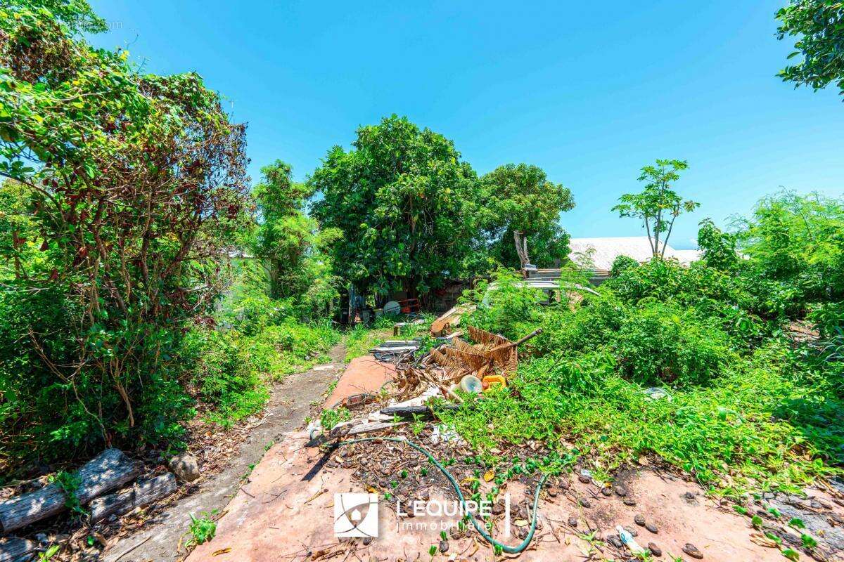 Terrain à SAINTE-MARIE