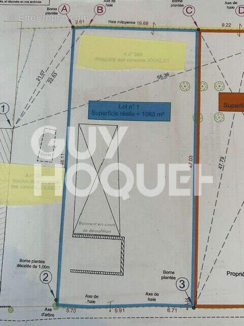 A VENDRE à ALEMBON - Terrain constructible  de 1063 m2 - photo 2