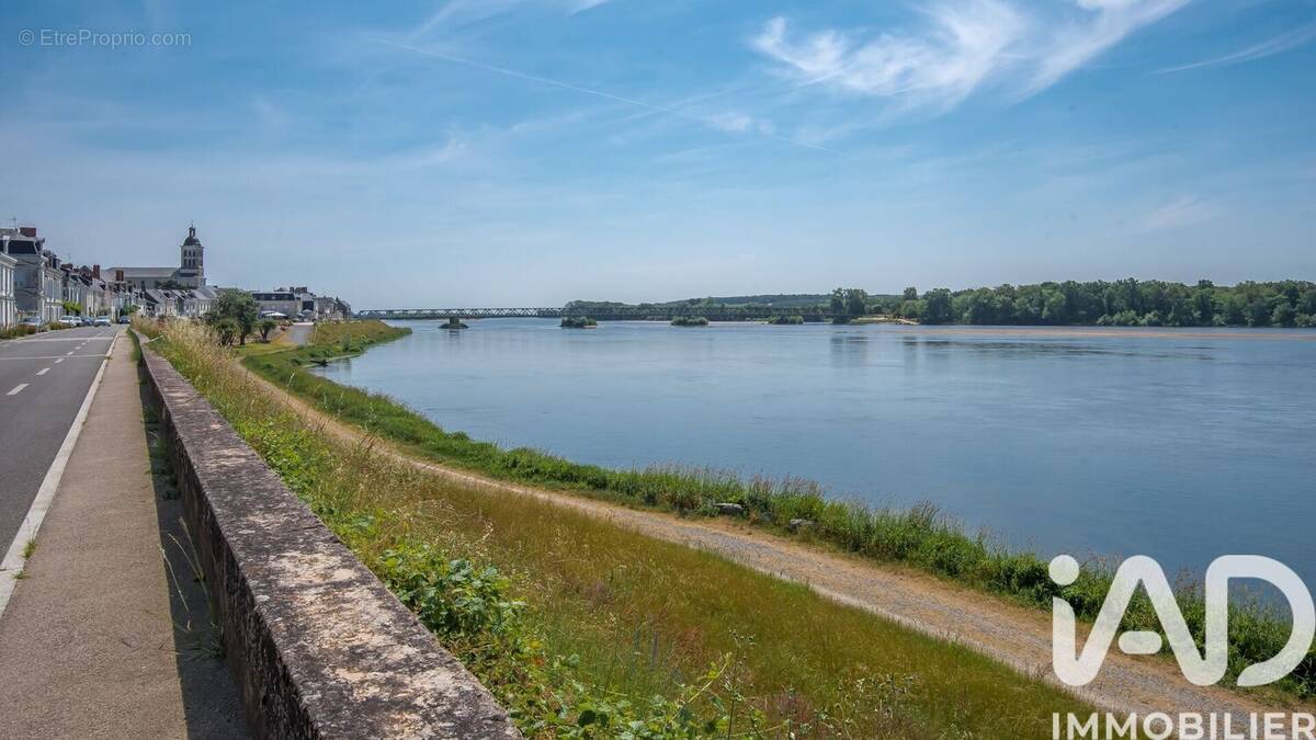 Photo 1 - Maison à SAINT-MATHURIN-SUR-LOIRE