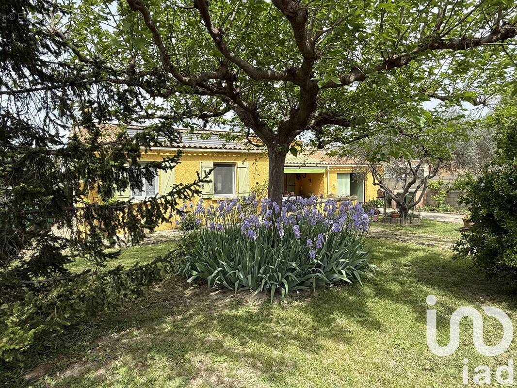 Photo 1 - Maison à SORGUES