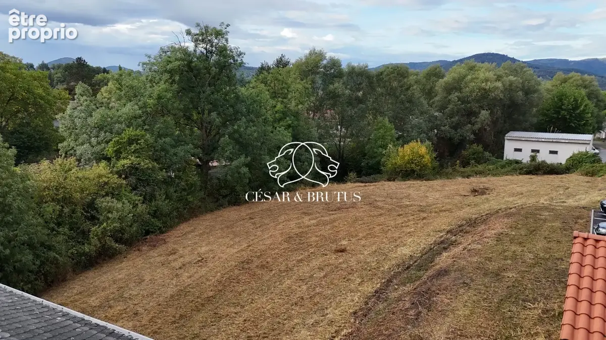 Terrain 1 958 m² à vendre à Rosieres (43800) - photo 8