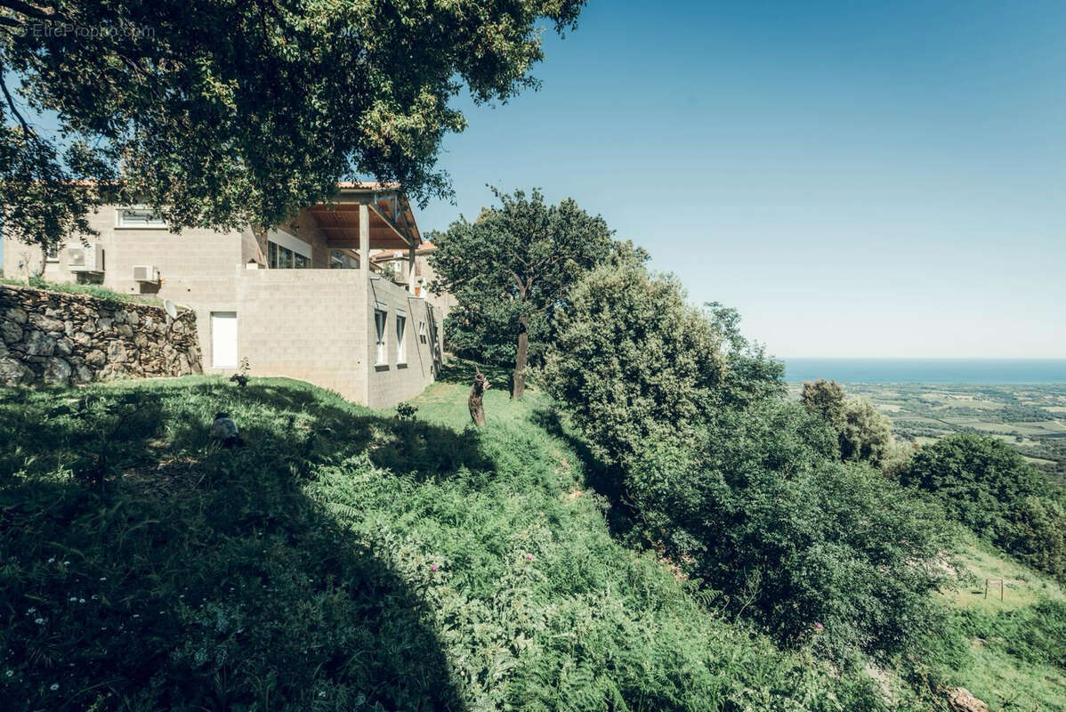 Maison à CANALE-DI-VERDE