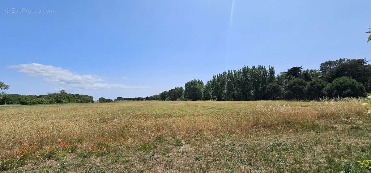 Maison à SAINT-CLEMENT-DES-BALEINES