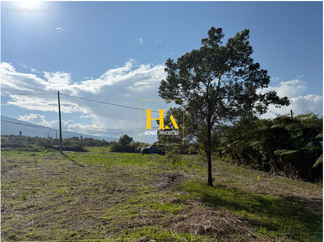 Terrain à SAINT-JOSEPH