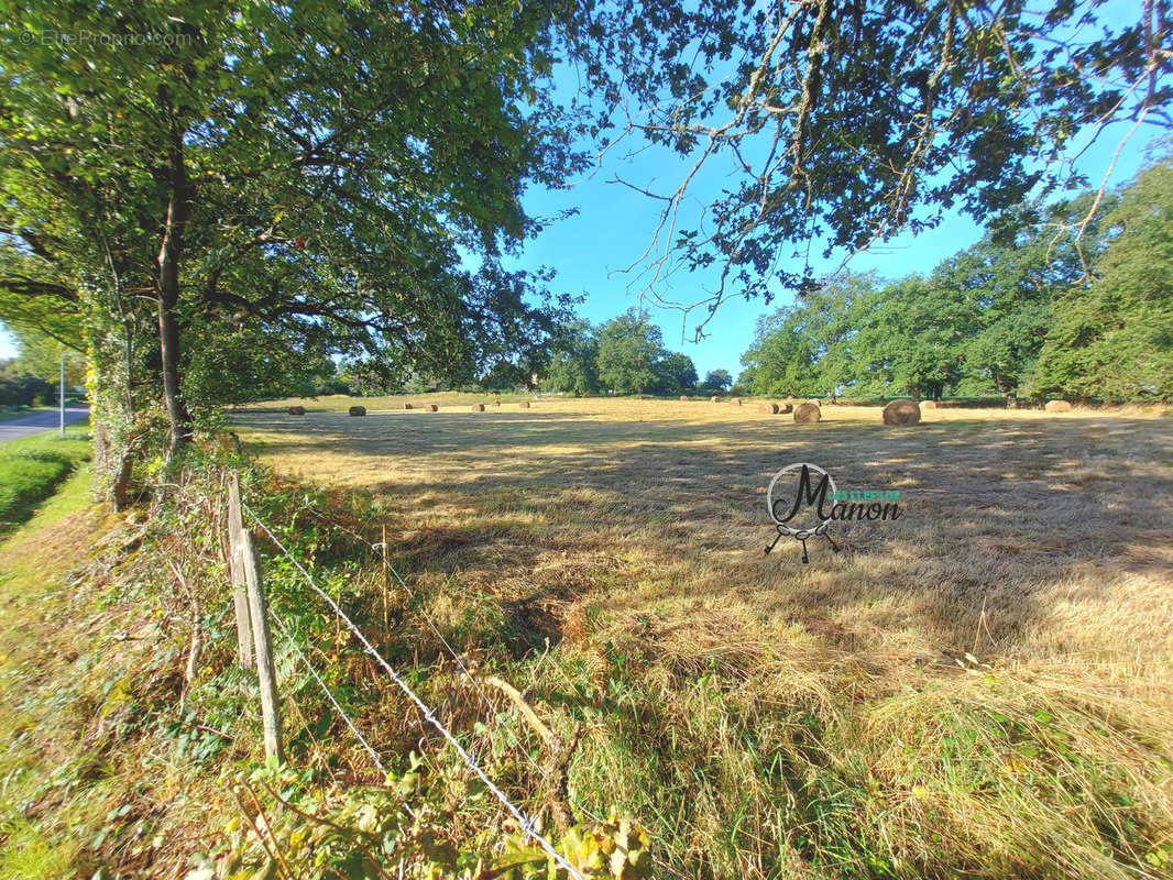 Terrain à BESSINES-SUR-GARTEMPE