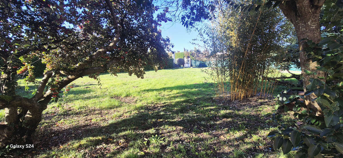 Maison à VILLENEUVE-LA-COMPTAL