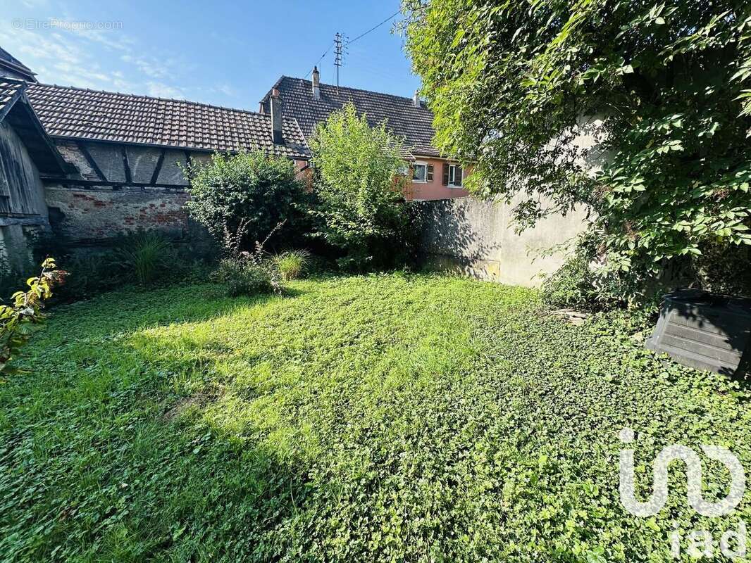 Photo 3 - Appartement à DANNEMARIE