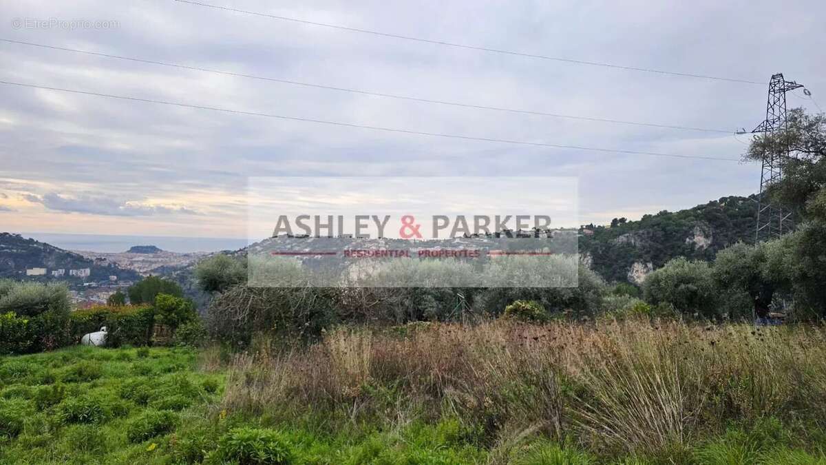 Terrain à SAINT-ANDRE-DE-LA-ROCHE