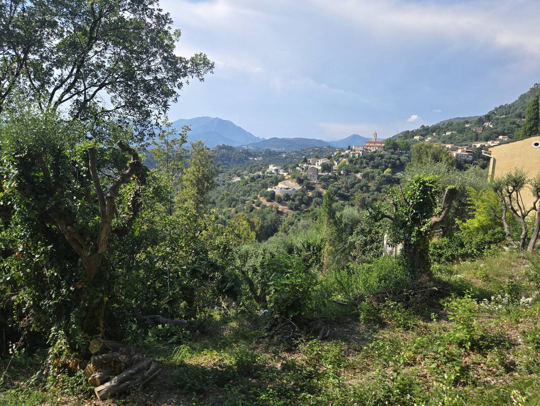 Terrain à CASTAGNIERS