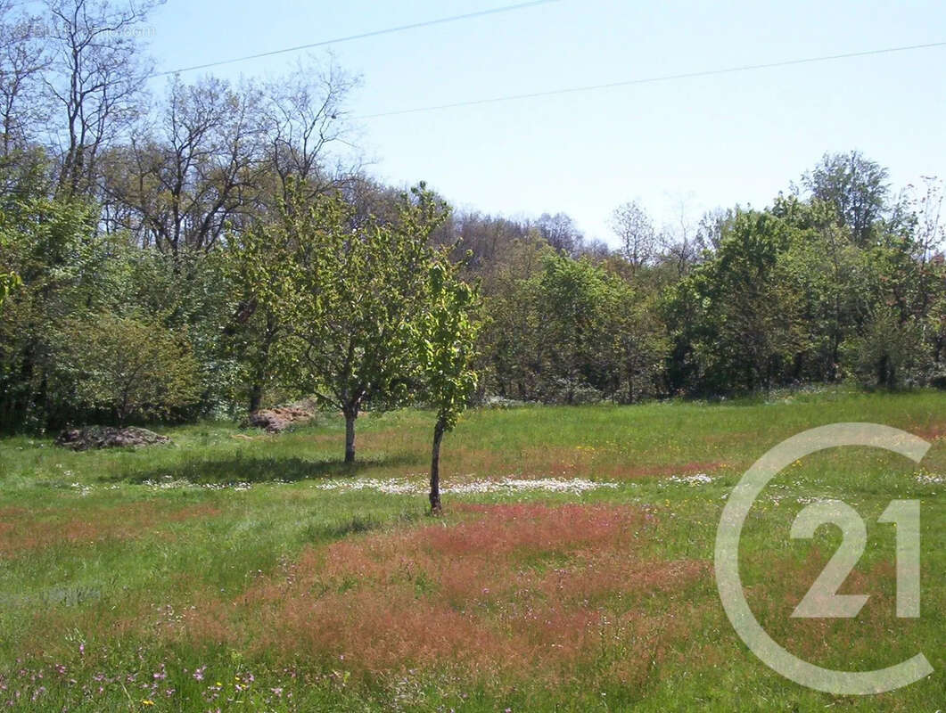 Terrain 850 m² à Montans  - photo 2