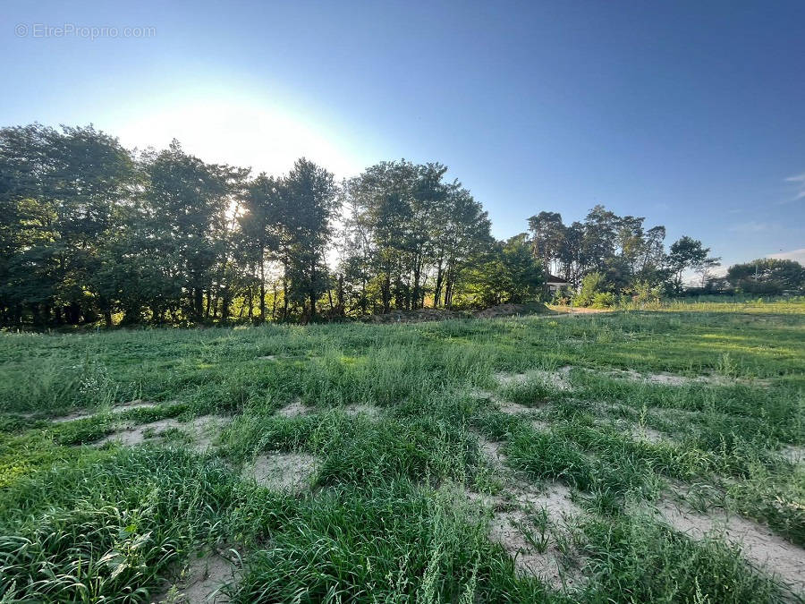 Terrain à LEZOUX