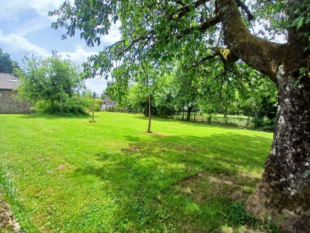 Maison à PIEGUT-PLUVIERS