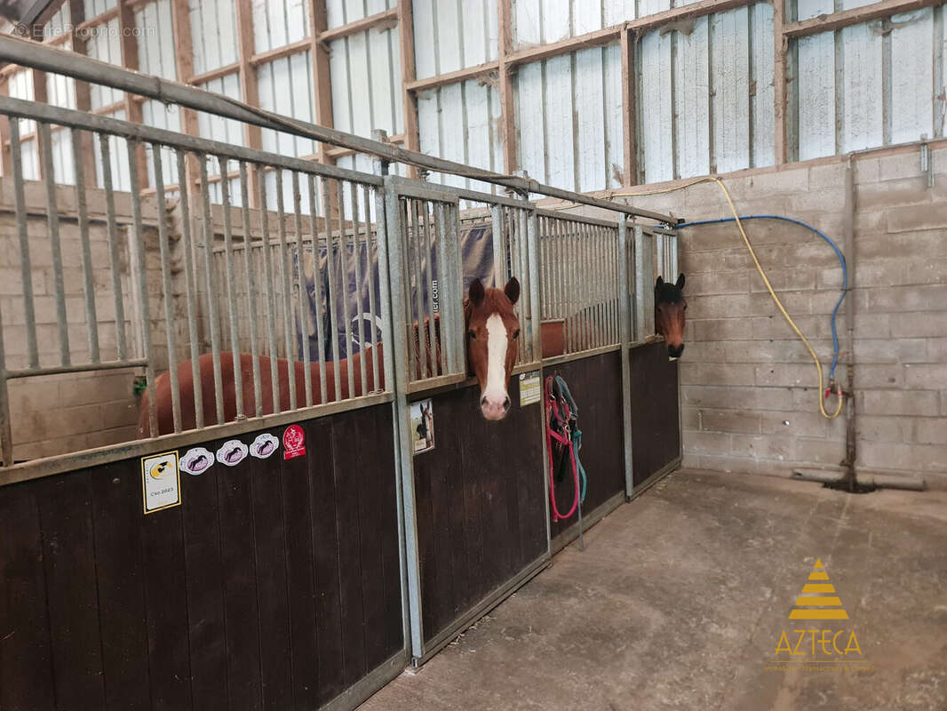 Terrain à BEAUVOIS-EN-CAMBRESIS