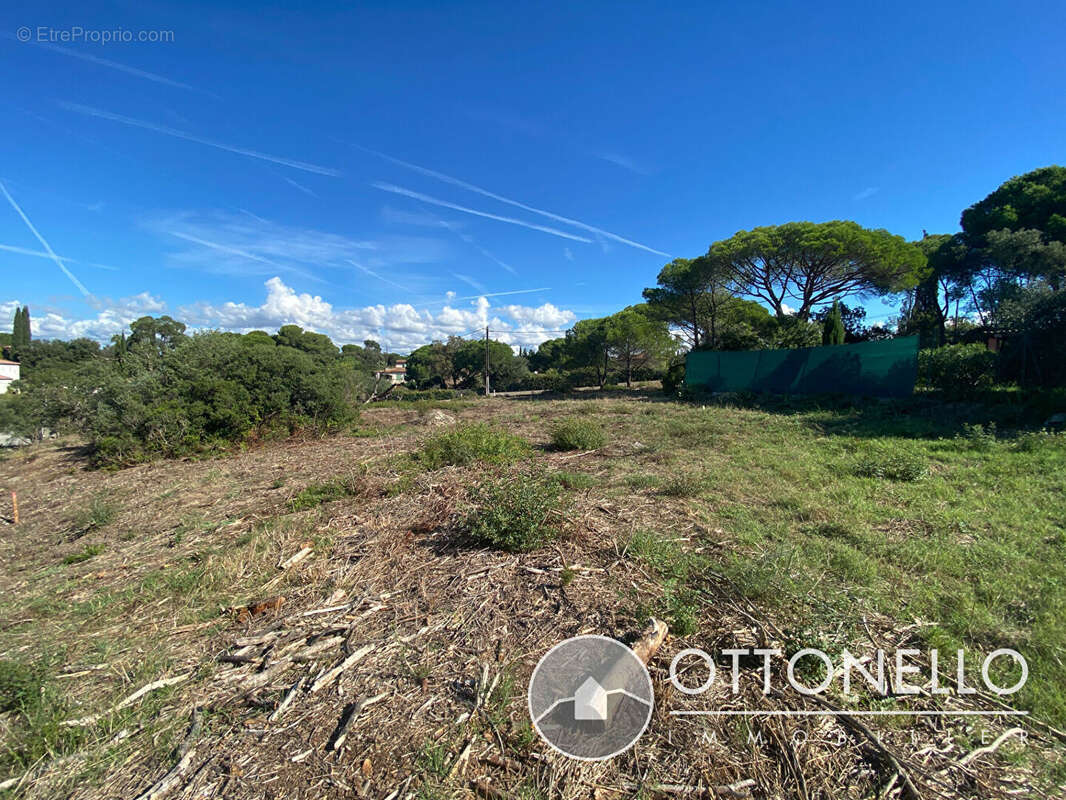 Terrain à ROQUEBRUNE-SUR-ARGENS