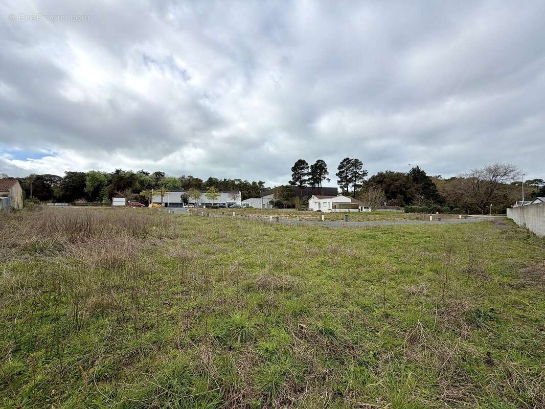 Terrain à SAINT-HILAIRE-DE-RIEZ