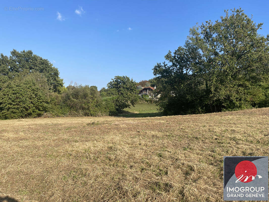 Terrain à MASSONGY