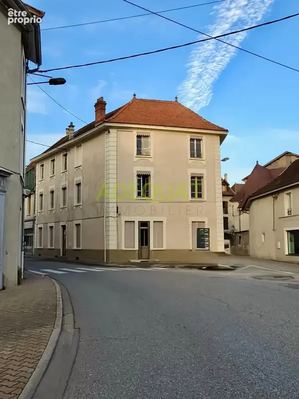 La tour du pin hyper centre / appartement en duplex / plateau a amenager / cave individuelle… - photo 1