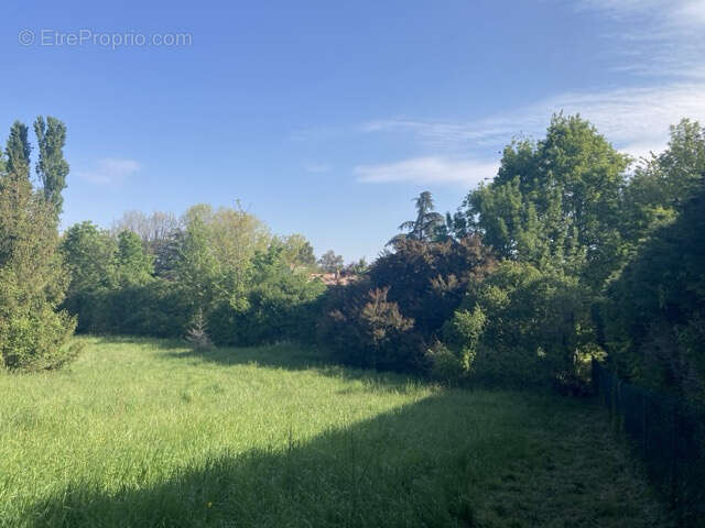 Terrain à SAINT-JEAN