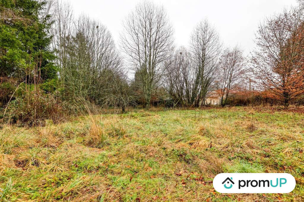 Terrain à PEYRILHAC