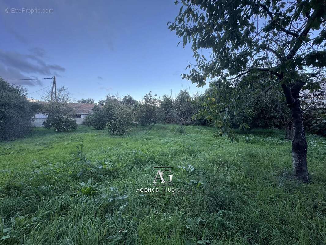 Maison à PRUNELLI-DI-FIUMORBO