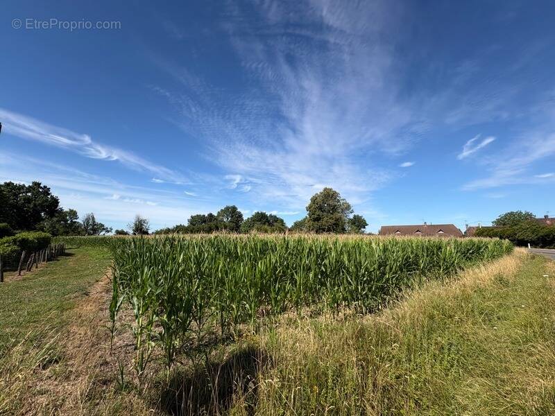 Terrain à SENS-SUR-SEILLE