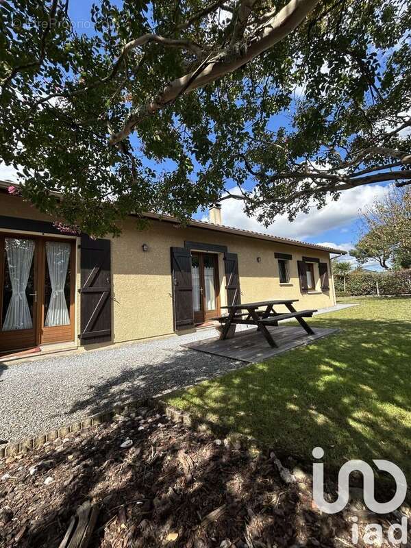 Photo 2 - Maison à TOSSE