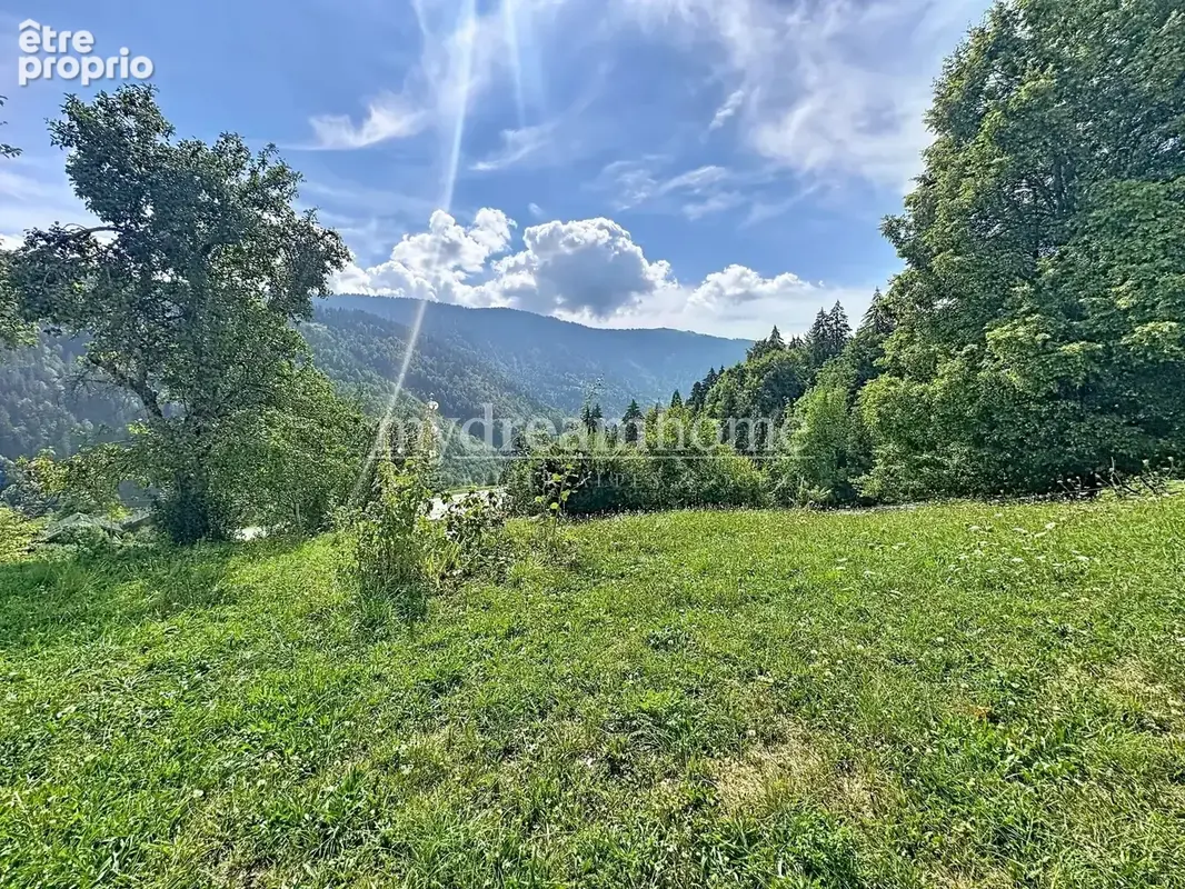 Chalet ancien, mazot et 5 hectares de terrain à Héry sur Ugine (73400) - photo 15