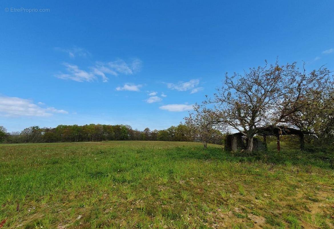 Terrain à CASTAIGNOS-SOUSLENS