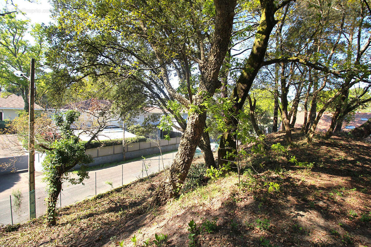 Terrain à CAPBRETON