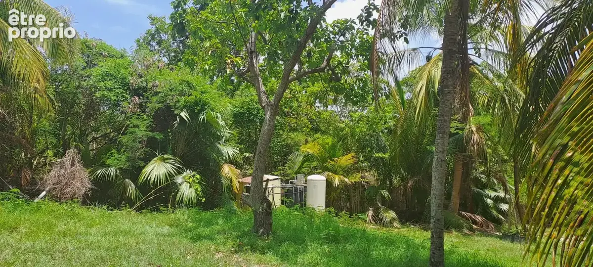 Villa t10 avec piscine et vue mer   le moule - photo 5
