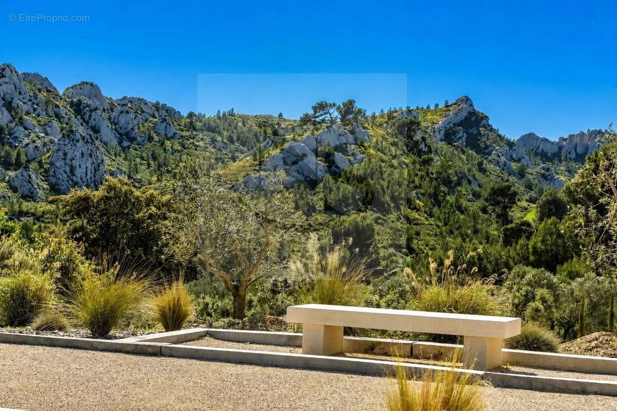Maussane-les-alpilles / propriété de maître - photo 35