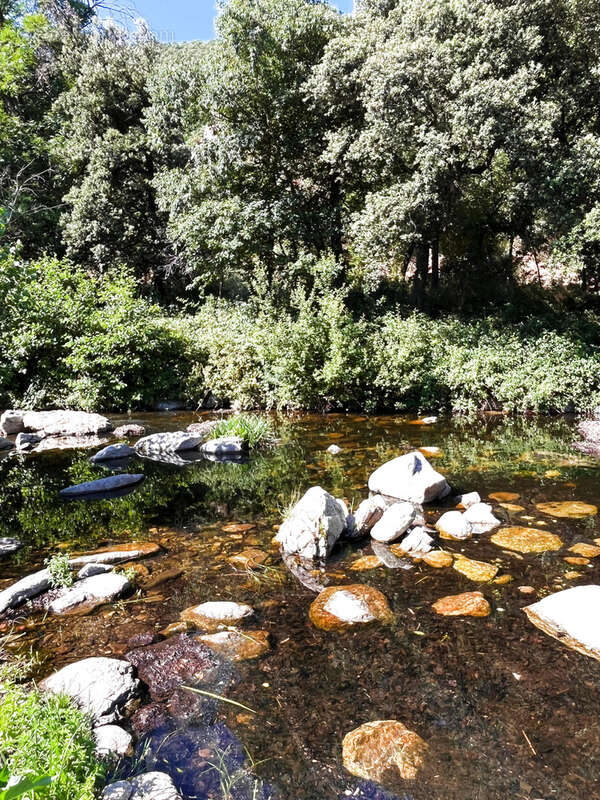 'Terrain constructible 1850m2 Vallée Heureuse Sorède   Calme, hors lotissement, très recherché !' - photo 5