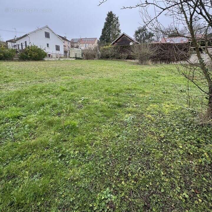 Terrain à MEREVILLE
