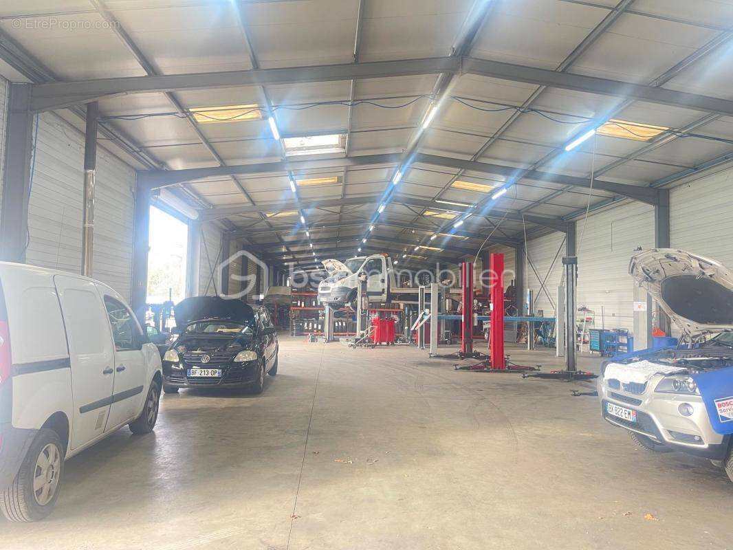 Commerce à TOULOUSE